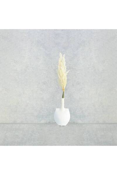 Generic Feather Branch