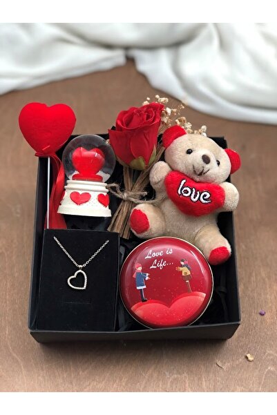 Desenor Concept Peluş Ayıcık Kolye Romantik Hediye Seti | Sevgiliye Özel Gün ...