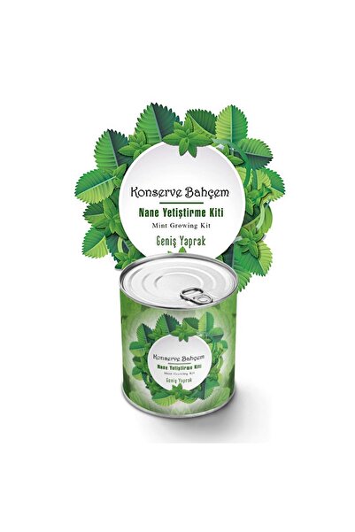 Greathings Моят комплект за отглеждане на мента в градината