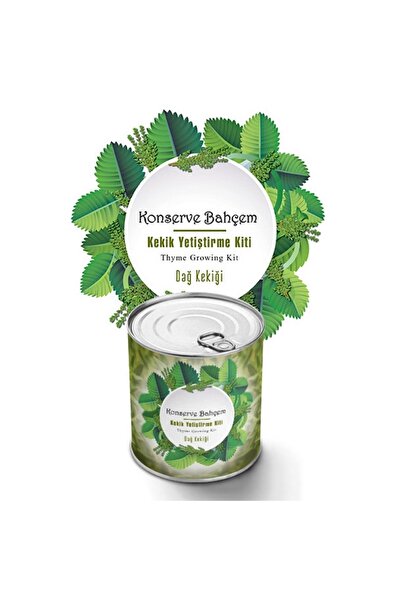 Greathings Моята градина за консерви Отглеждане на планински мащерка у дома К...