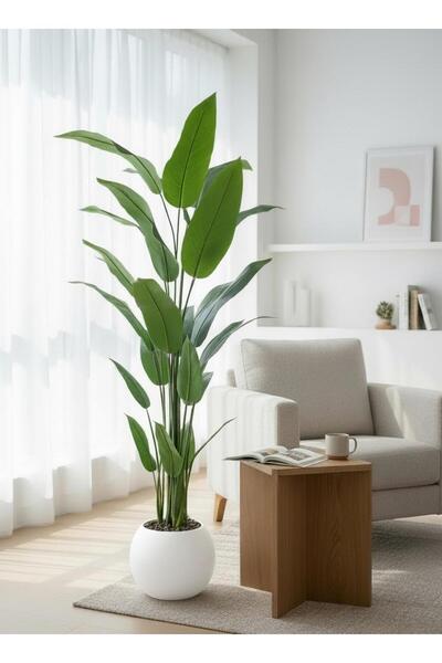 Casco نبتة صناعية بأوراق عريضة بارتفاع 190 سم في أصيص دائري.