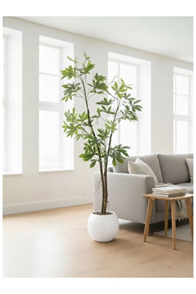 Casco شجرة شيفليرا صناعية بارتفاع 180 سم