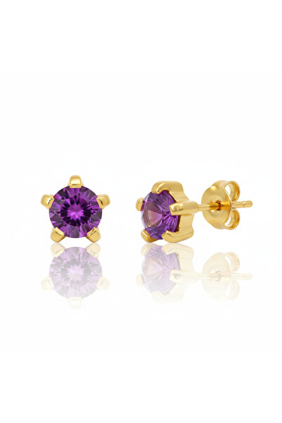 EAR GEAR 24K Gold Plated 2mm Amethyst Mini Earrings USA