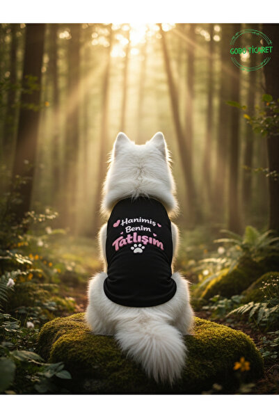 Gobo My Sweetheart Is My Cat and Dog Written Outfit–Cute Pet T-Shirt Dress,Di...