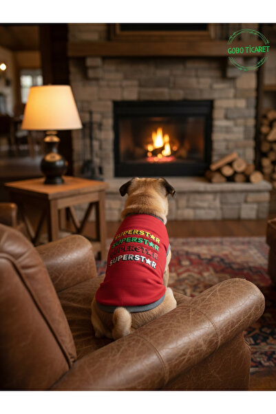 Gobo Superstar Patterned Cat and Dog Outfit – Colorful Cute Pet T-Shirt Dress...