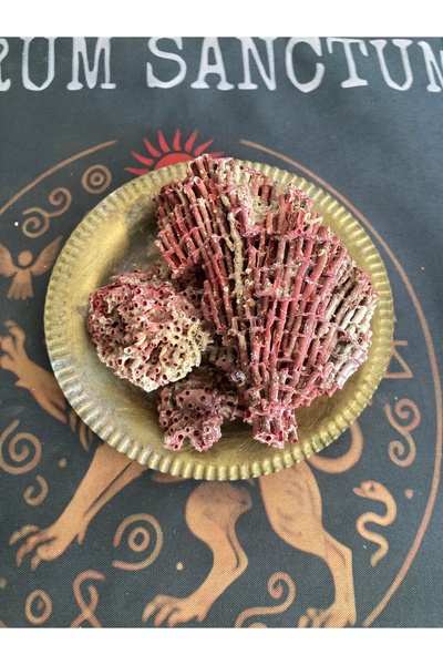 shop Yedi Kardeş Kanı 25 gr Deniz Mercan Kayası