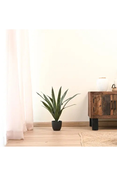 Generic Artificial Cactus Tree - Height 65 cm