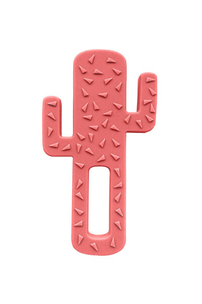 OiOi عضاضة أسنان من السيليكون على شكل صبار للأطفال من عمر 3 أشهر فما فوق