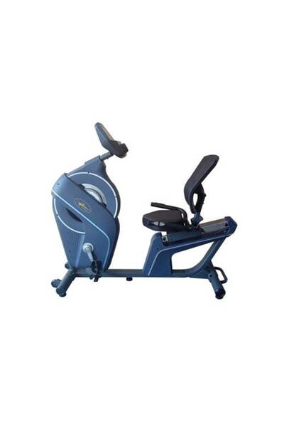 lijiujia Magnetic Exercise Bike with Backrest Model 99503