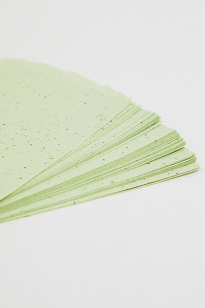R&B Women's Green Facial Oil Blotting Paper