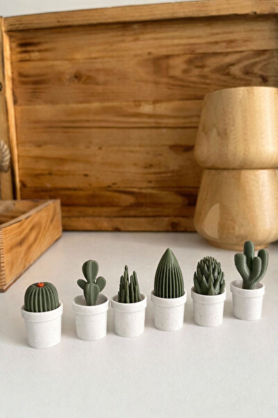 3dworkstore Mini Kaktüs Buzdolabı Magneti Seti (6'LI)