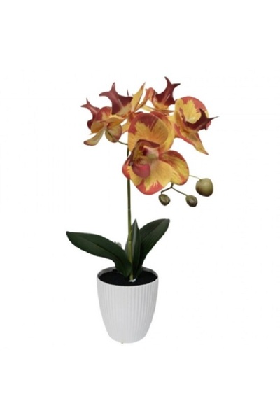 Noname Orhidee artificiala galben&minus;roz inchis in ghiveci 37 cm, Peva