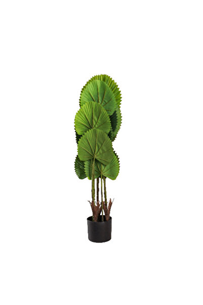 Generic Artificial Palm Tree