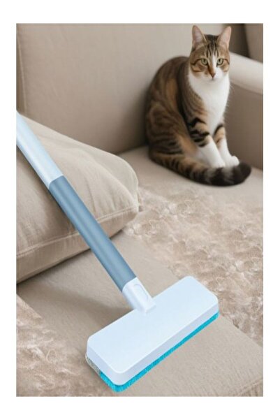Dream Plus Dual-Direction Practical Pet Hair Collector and Surface Cleaning B...
