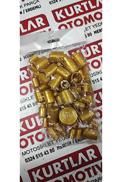 monero Renkli Vida Kapağı Tapa Aksesuar 1 Palet 80 Parça Gold