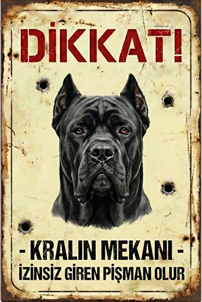 Iron Paws Cane Corso Uyarı Levhası - Kralın Mekanı - Paslanmaz Metal Görünüml...