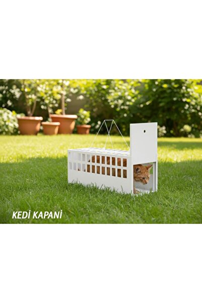 Elektro Frog Kedi Kapanı