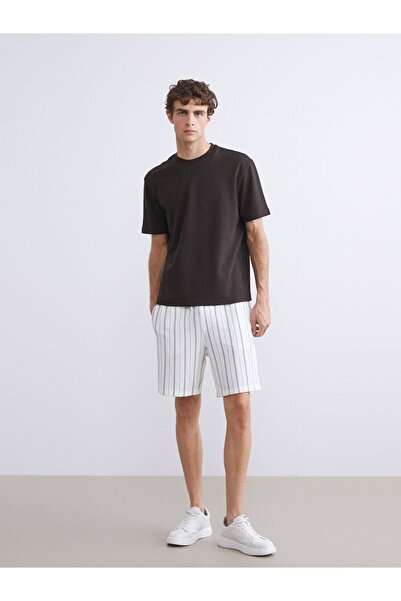 LC Waikiki Standard Fit Striped Men's Shorts