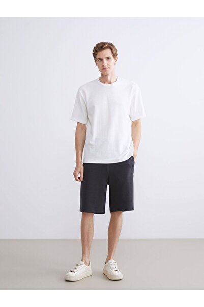 LC Waikiki Standard Fit Men's Shorts