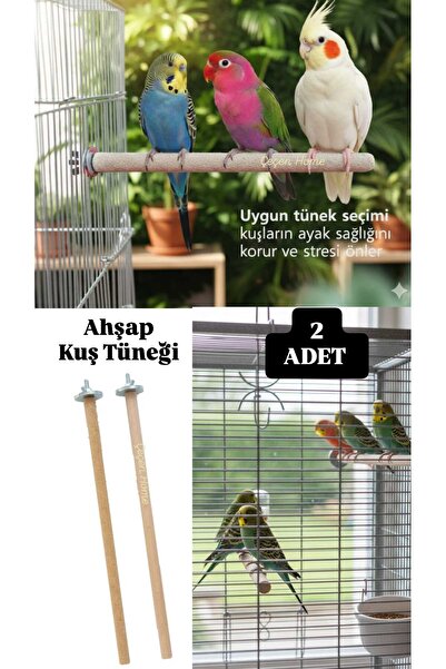 ÇEÇEN HOME (2 Pieces) Wooden Bird Perch Natural Bird Perch Bird Climbing Perc...