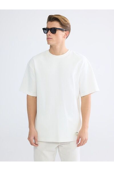 LC Waikiki طاقم الرقبة تي شيرت للرجال