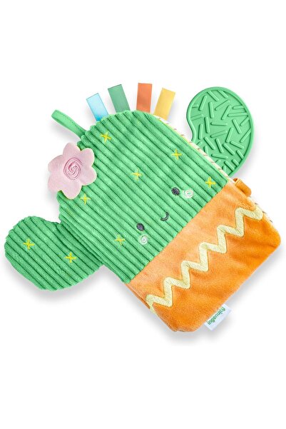 Aquanic DİŞ KAŞIYICI DOKULU AYNALI SAYI ÖĞRENME KİTABI