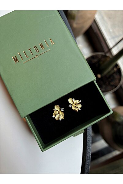 Miltonia Çiçek 925s Gümüş Küpe