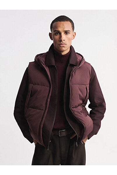 LC Waikiki Sparkling Choices from Shining Store Standardfit Hooded Men's Puff...