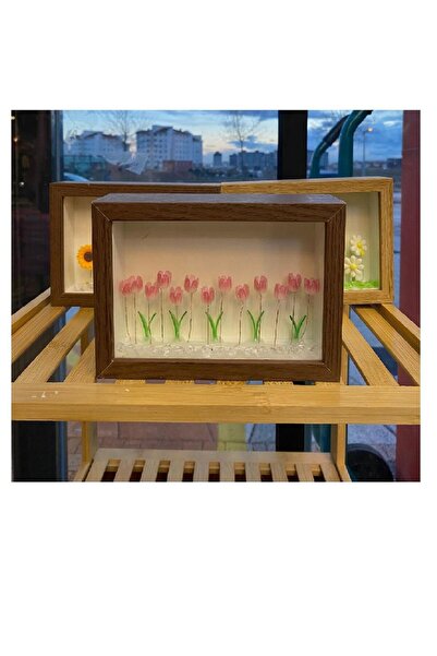 Muhtelif Günebakan Işıklı Çerçeve DCS-4 1148