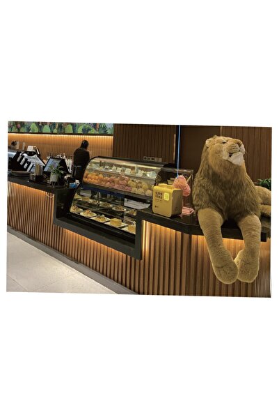 MADA Waterproof WPC Interior Wood Alternative Cladding, 10-Piece Pack