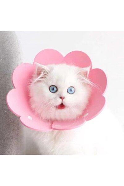 silver zenn طوق إليزابيث من الفرو للحيوانات الأليفة مقاس S