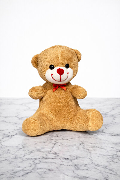 DEMİRSTORE Sevimli Peluş Ayıcık - Uyku Arkadaşı - Oyuncak - Hediyelik - Yastık