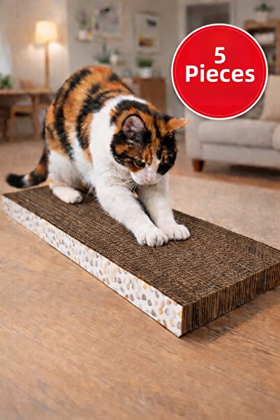 Yelbegen لوح كشط اقتصادي مسطح 5 قطع