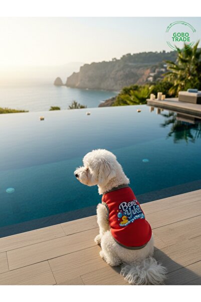 Gobo Wash Me Printed Cat and Dog Outfit–Cute Patterned Pet T-Shirt Dress, Dif...