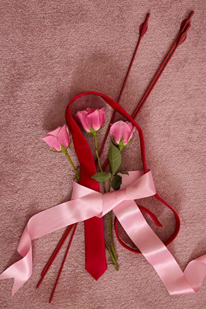 DeFacto ربطة عنق نسائية G5682AX25WN