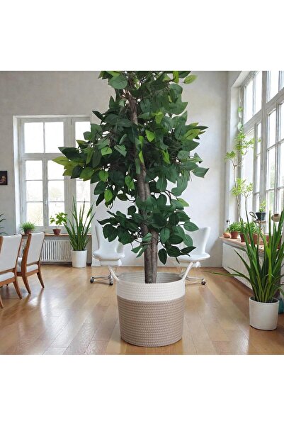 bayram taşcıoğlu home desing سلة زهور 24*20 سم، سلة هدايا مع أواني زهور