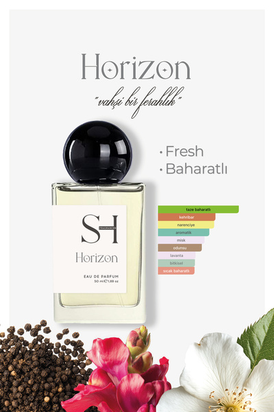 SH FRAGRANCES Horizon EDP Erkek Parfüm | Baharatlı-Aromatik | Ferah-Bergamot ...