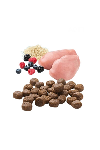 Mera Finest Fit Kitten Tavuklu Yavru Kedi Maması 10 Kg