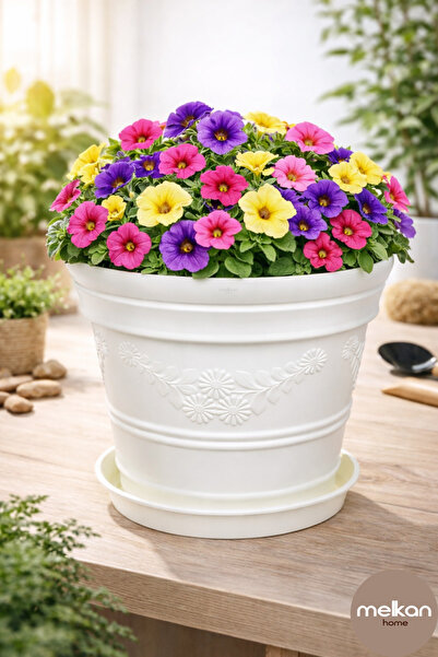 Melkan Home Papatya Desenli Dekoratif Beyaz Saksı 7,3 Litre Dayanıklı Çiçek S...