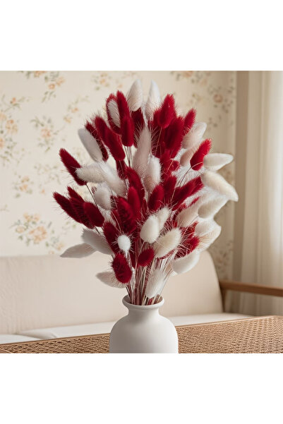 Dekora Çiçek Kurutulmuş Pamuk Otu Tavşan Kuyruğu Gelin Buketi Aranjman Çiçeği...