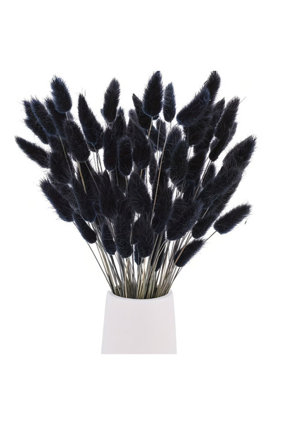 Dekora Çiçek عشب قطني مجفف أسود اللون، باقة زفاف على شكل ذيل أرنب، زهرة لاجور...