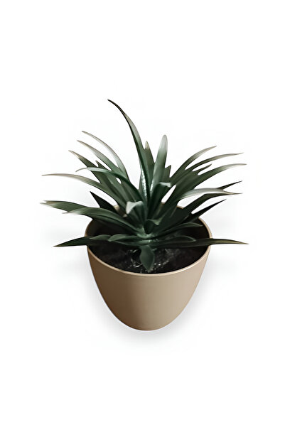 nftart.design Artificial Potted Cactus & Succulent