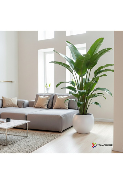 KıtayGroup Küre Saksı Yuvarlak Saksı Modern Dekoratif Iç Hazneli Plastik 27 L...