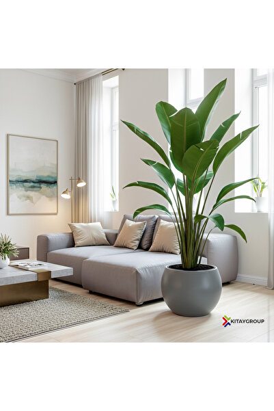 KıtayGroup Küre Saksı Yuvarlak Saksı Modern Dekoratif Iç Hazneli Plastik 7,5 ...