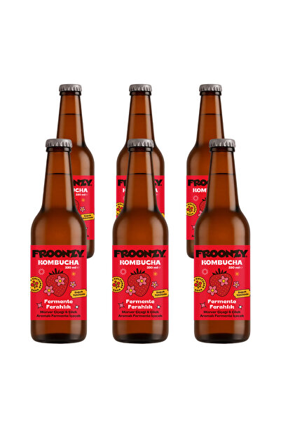 Froonzy Kombucha Mürver&Çilek 6 Adet 330ml
