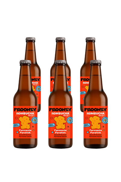 Froonzy Kombucha Zencefil 6 Adet 330ml