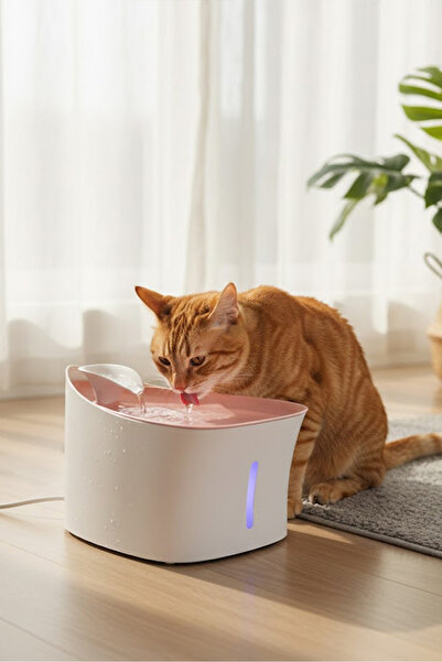 Petozi Kedi Köpek Için Ultra Sessiz Otomatik Su Pınarı 2,5 LT