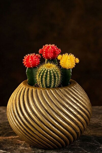 Evene Mini Çiçek Saksı Küçük Sukulent Altın Eskitme Kaktüs Saksısı Model 1