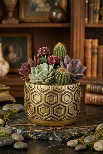 Evene Mini Çiçek Saksı Küçük Sukulent Altın Eskitme Kaktüs Saksısı Model 2