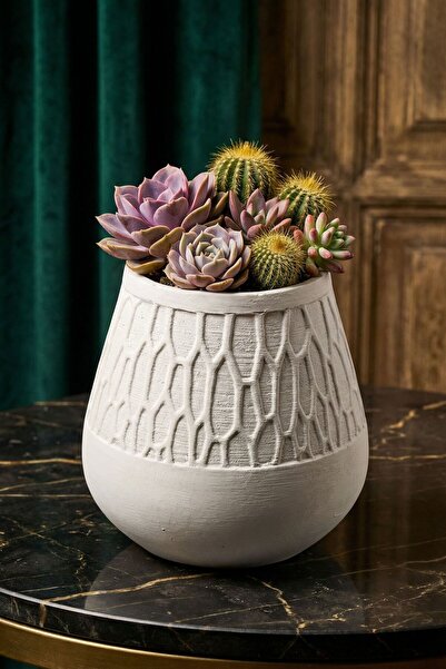 Evene Saksı Dekoratif Saksı Kaktüs Saksısı Sukulent Saksısı Küçük Saksı Model...